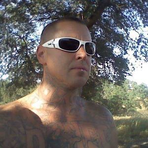 Meet your Posher, Bruce